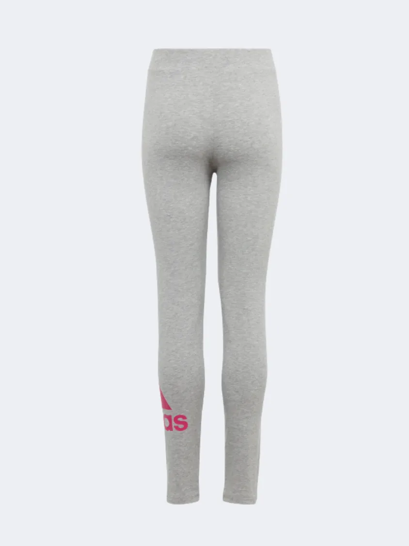 Adidas Essentials Big Logo Women Sportswear Tight Grey/Fuchsia