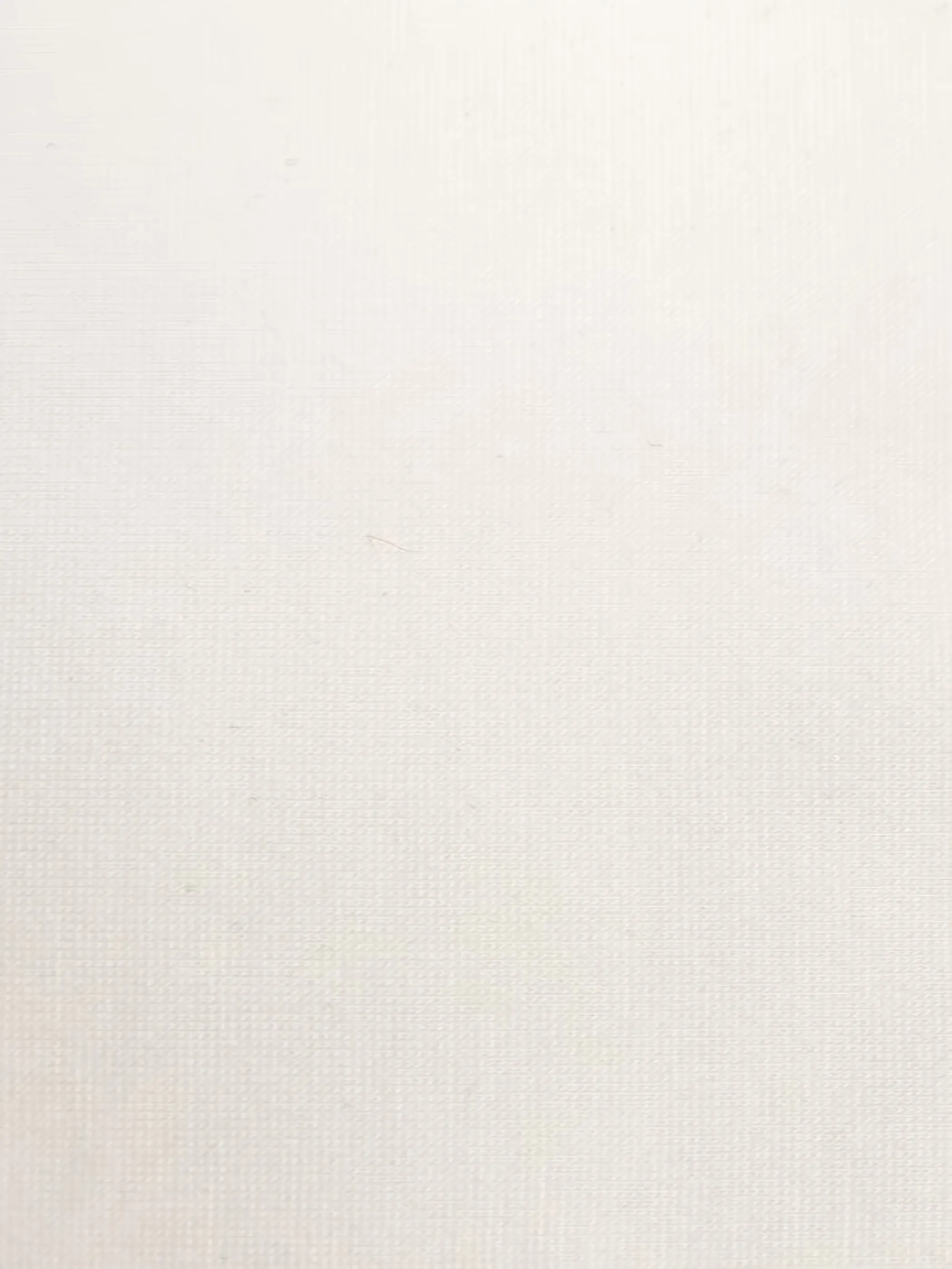 White 420 GSM 67% RAYON/28% NYLON/5 % SPANDEX CASANOVA Fabric